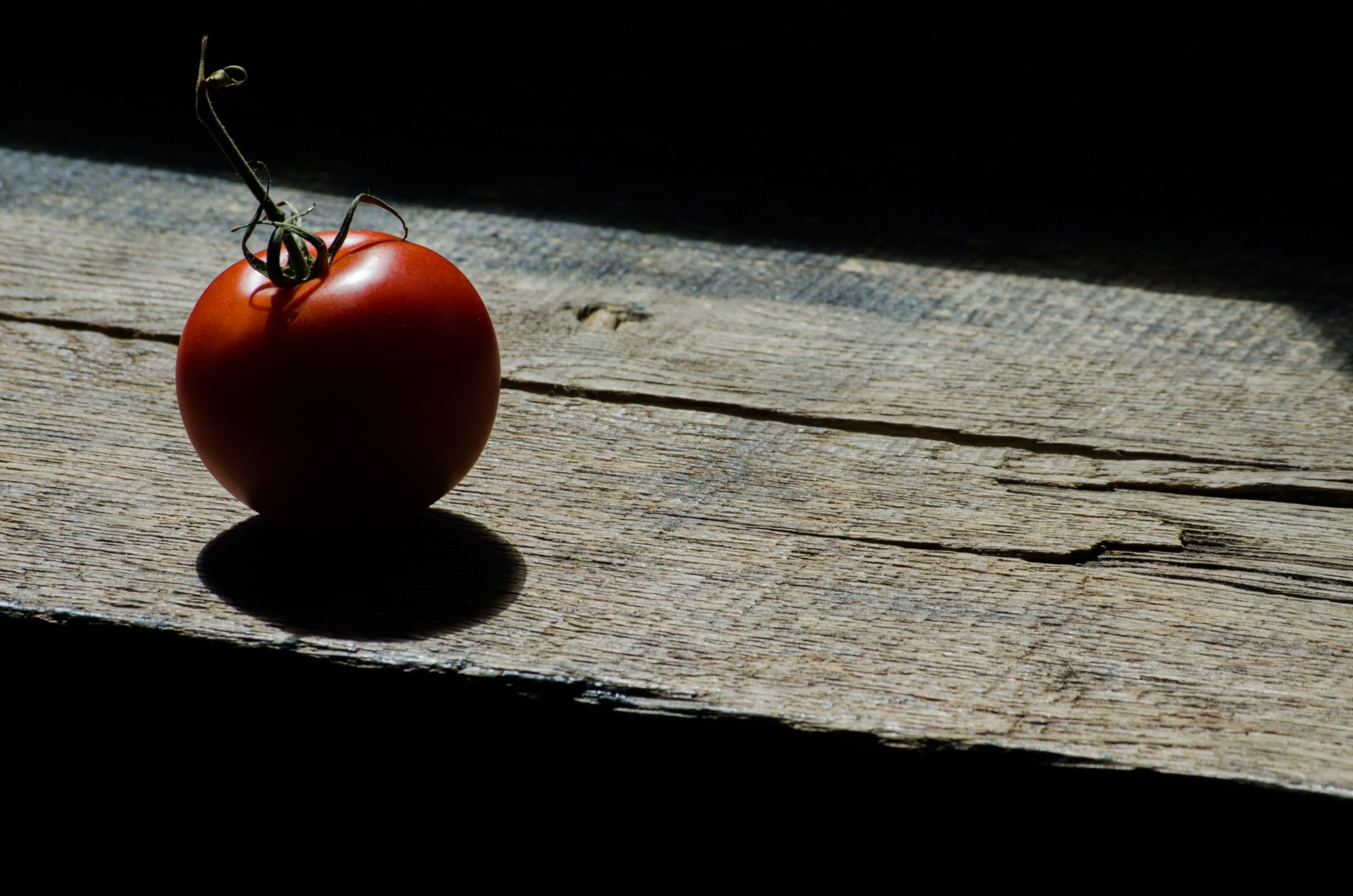 Tout savoir sur la nécrose apicale des tomates
