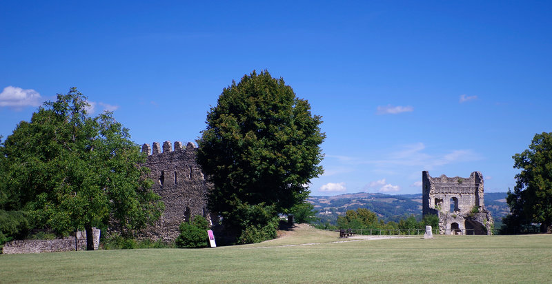 Ruines du couvent des Carmes