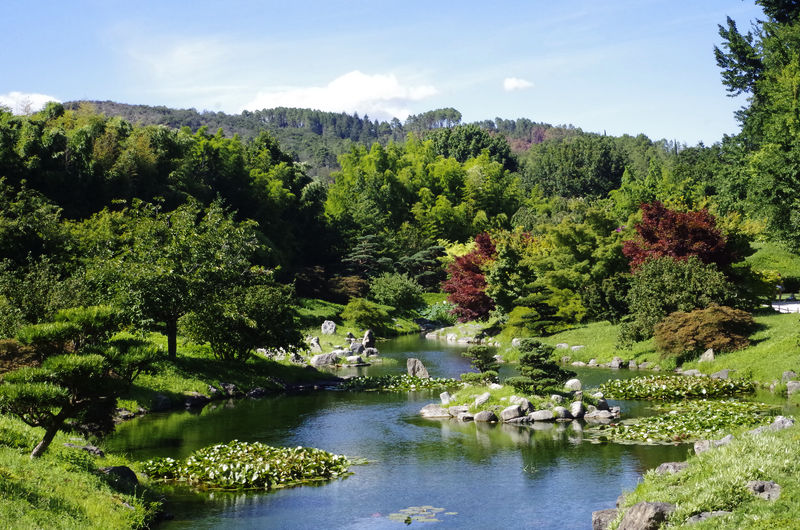 Jardin zen au milieu des Cévennes