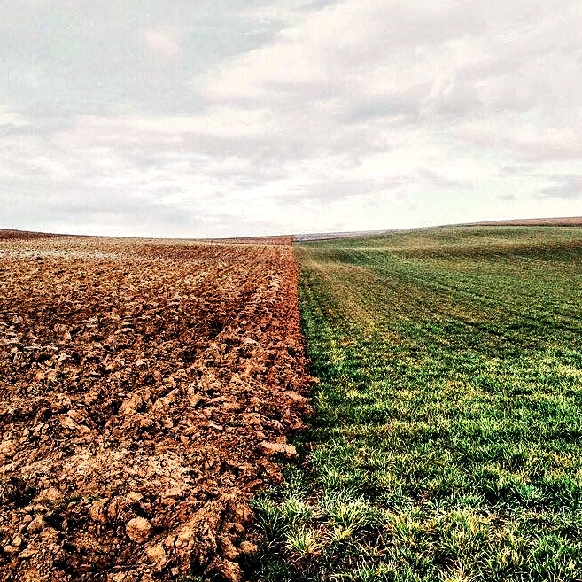 De la terre sèche à gauche, de la terre saine à droite