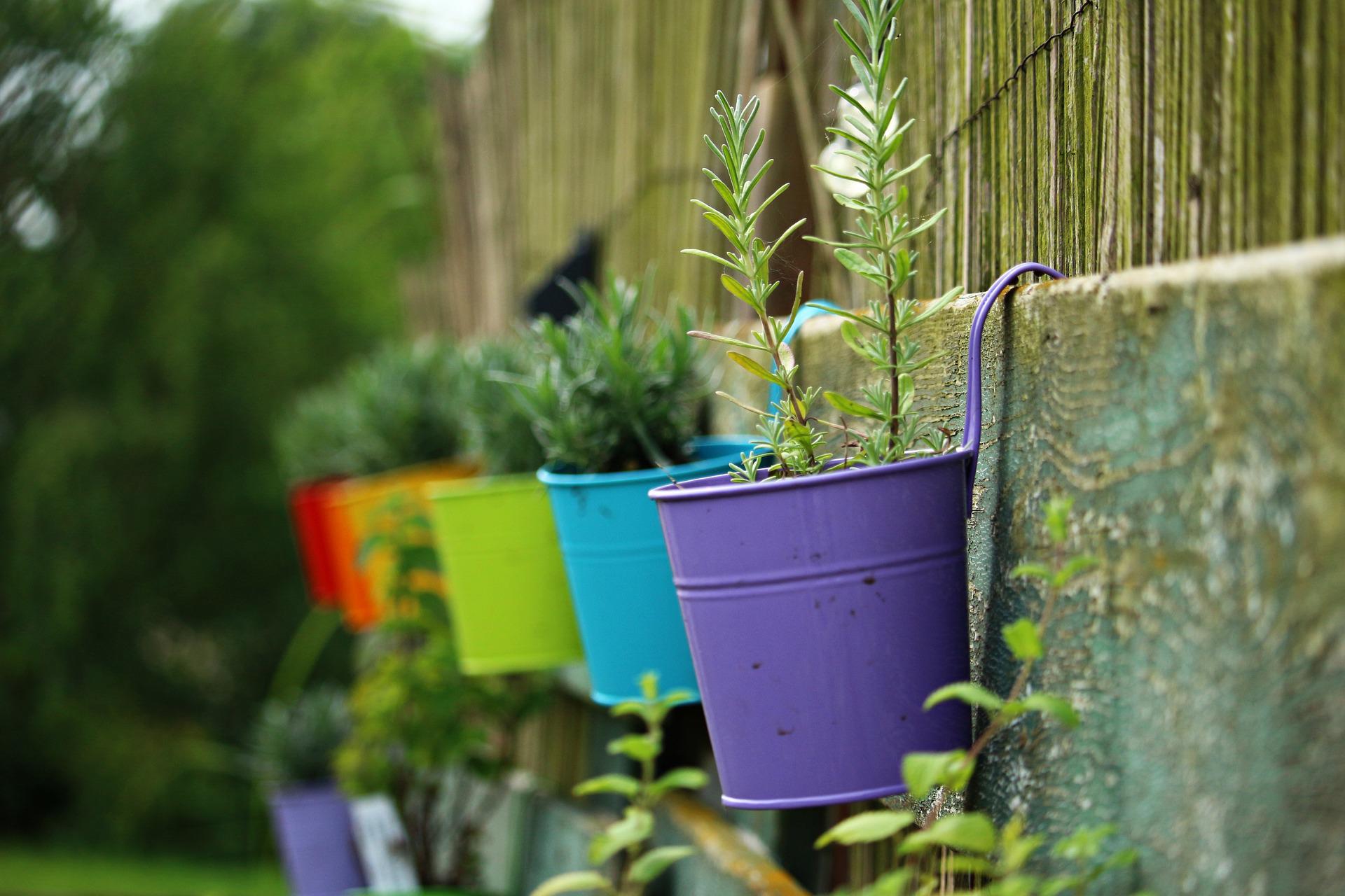 Comment bien choisir son pot de jardin ? Nos conseils pratiques