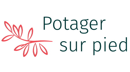 Potager sur pied