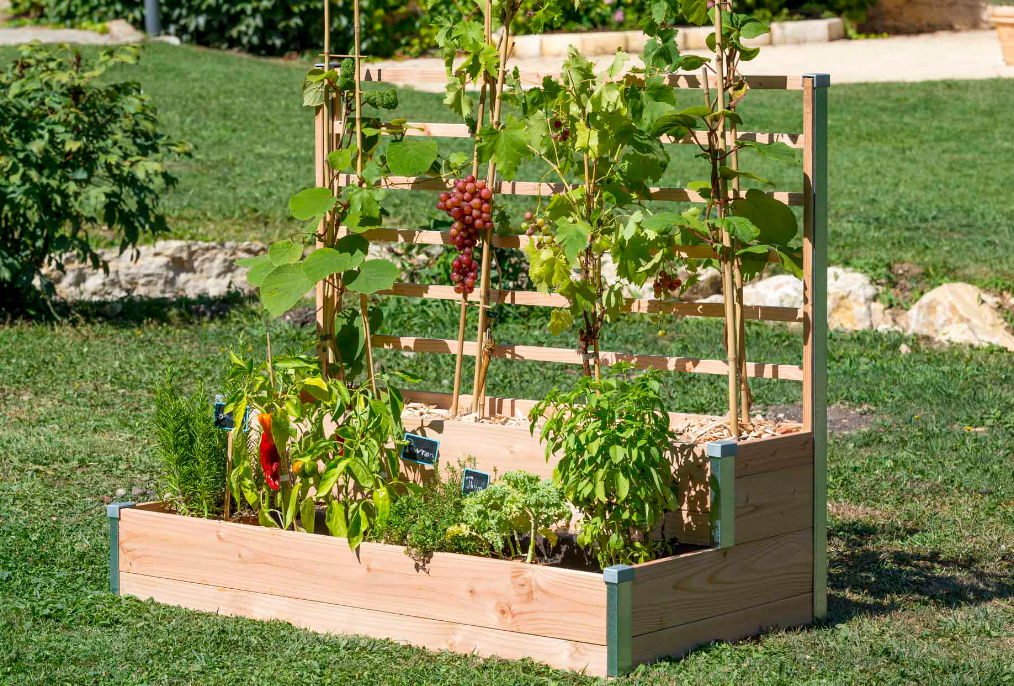 Potager sur pied et jardinière surélevée : le guide complet - Potager sur  pied