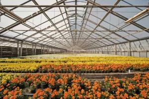 comment fonctionne la logistique de l'horticulture