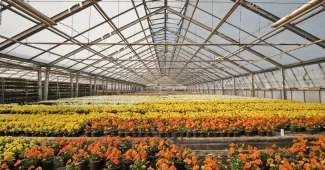 comment fonctionne la logistique de l'horticulture